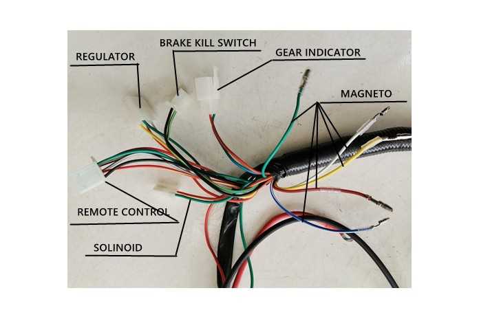 chinese atv wiring harness diagram