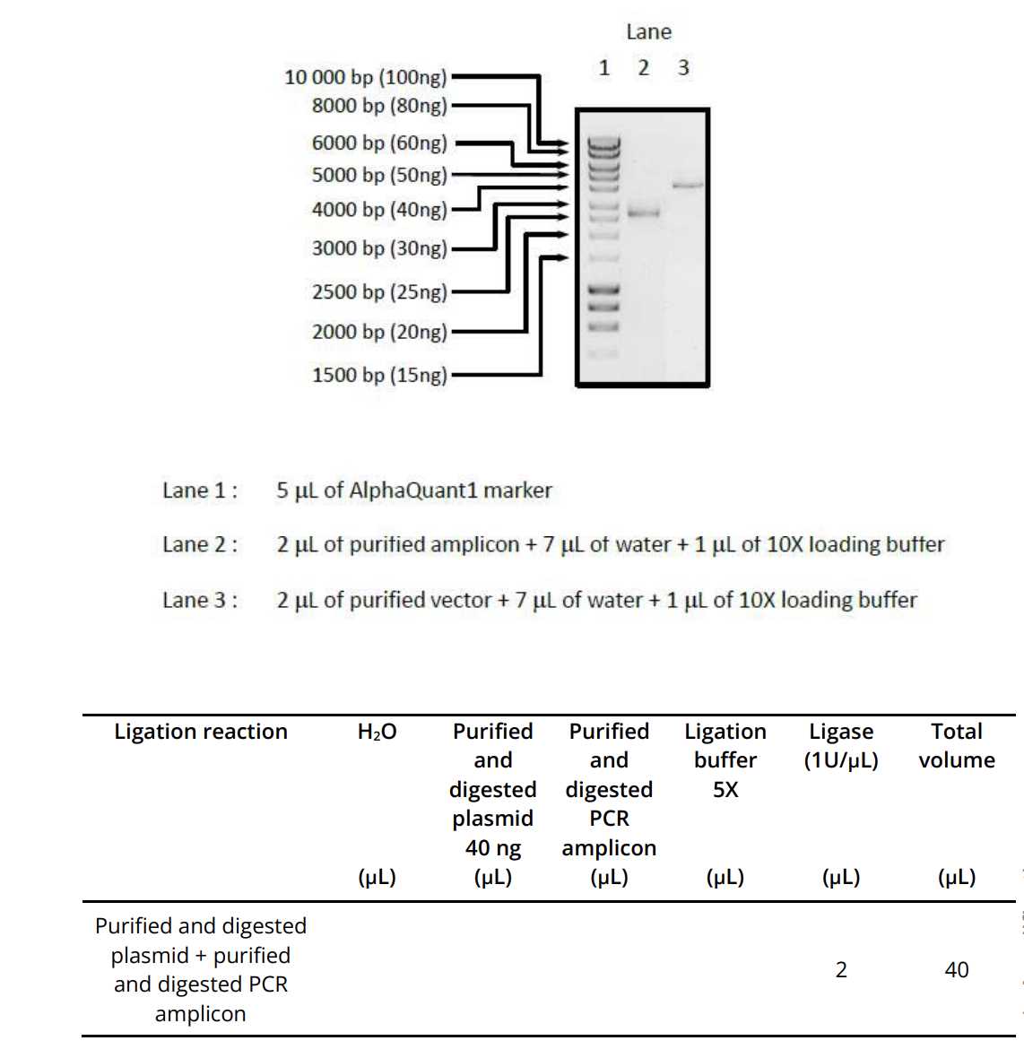 powerflex 753 wiring diagrams