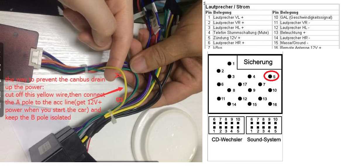 bmw e46 radio wiring diagram