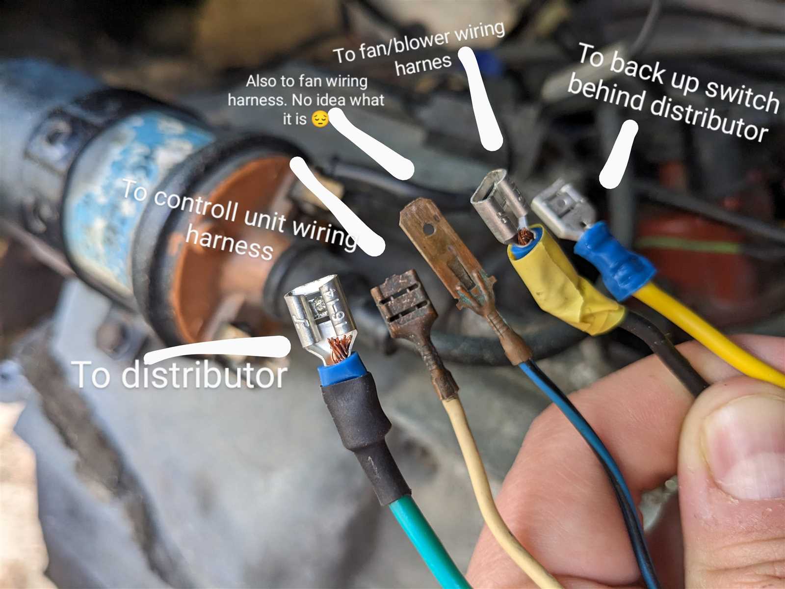 bug vw beetle ignition coil wiring diagram