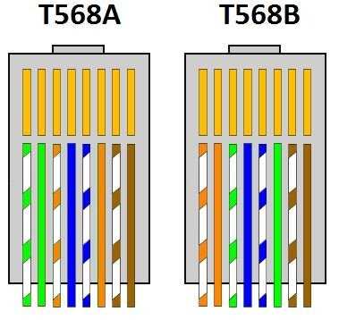 cat wiring diagram