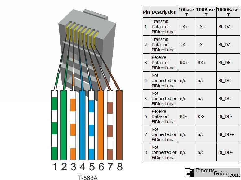 cat6 wiring diagram a or b