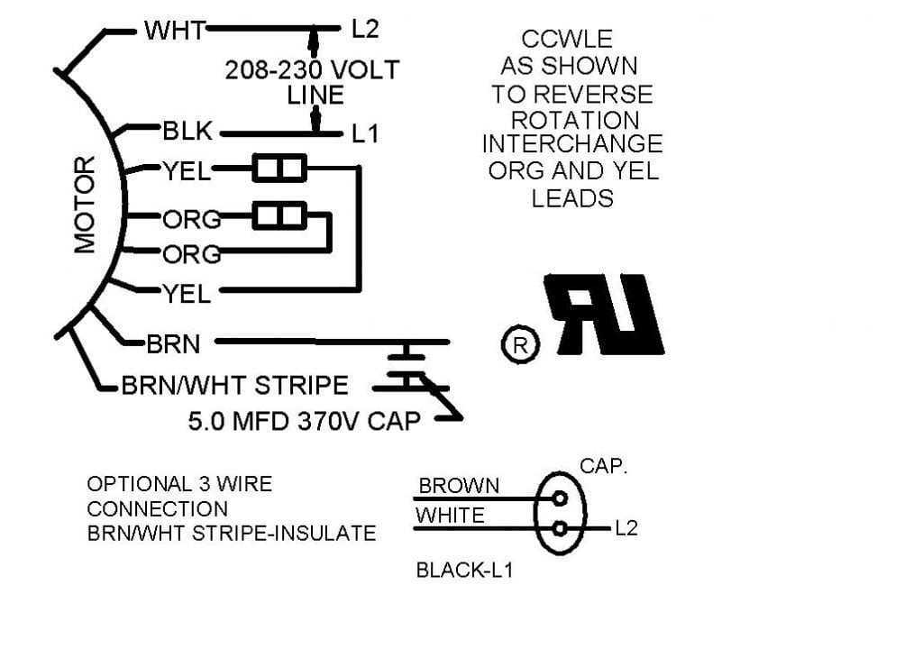 dual voltage electric motor wiring diagram