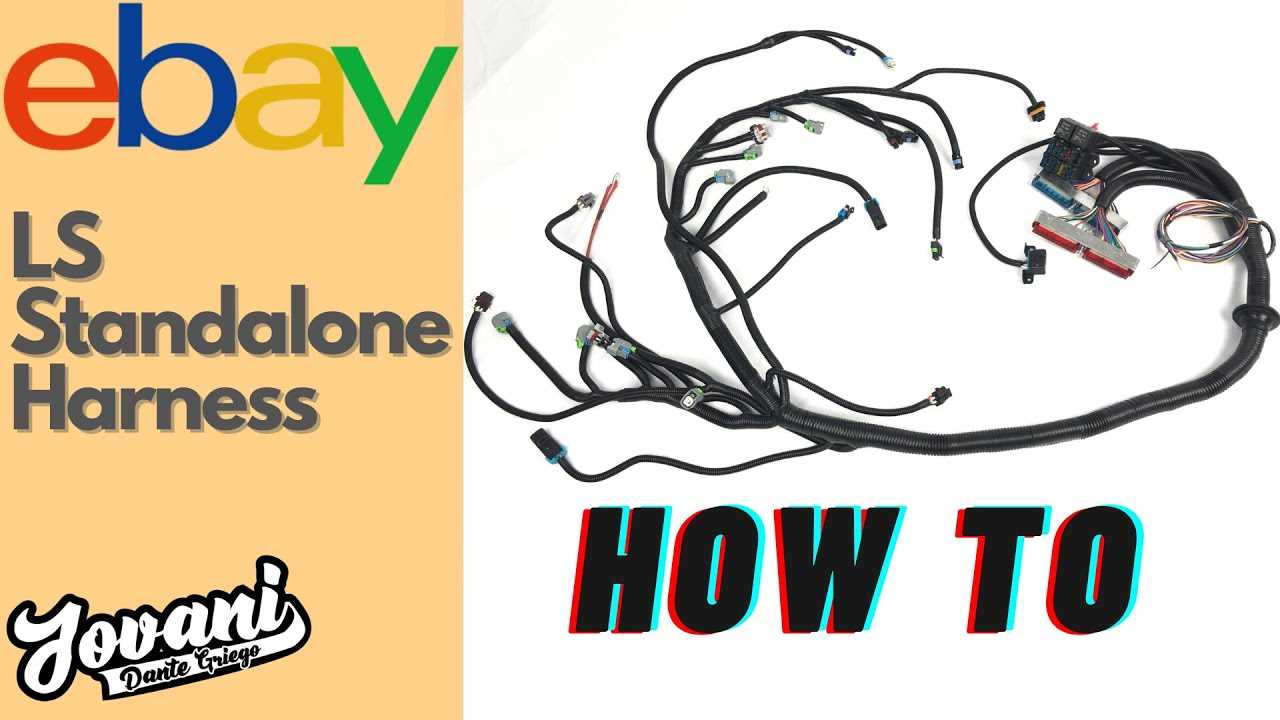 ls standalone wiring harness diagram