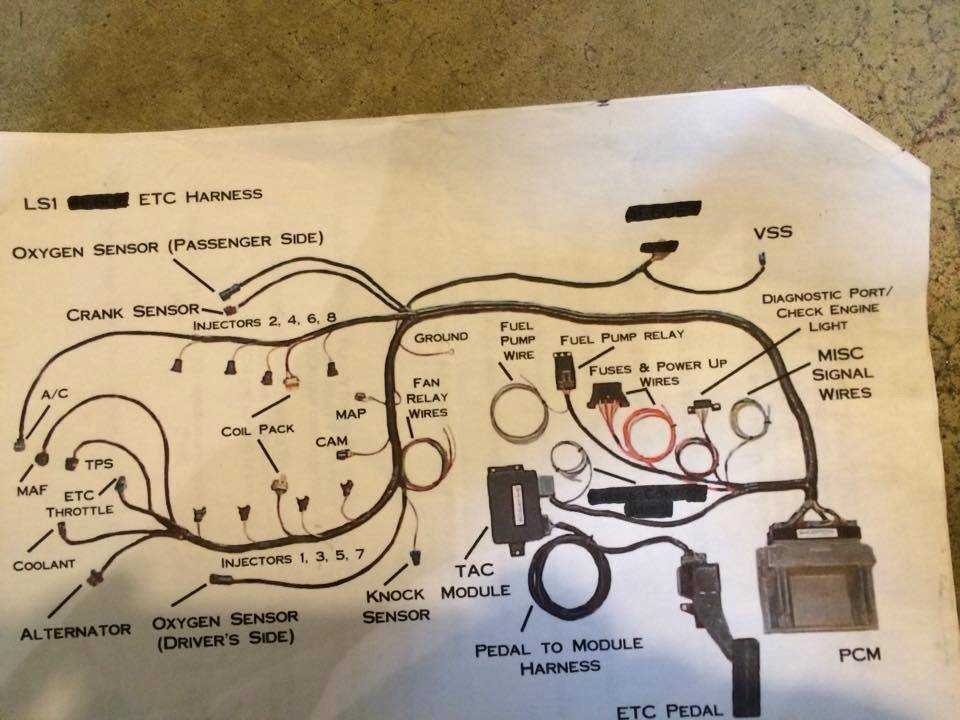 ls1 wiring diagram