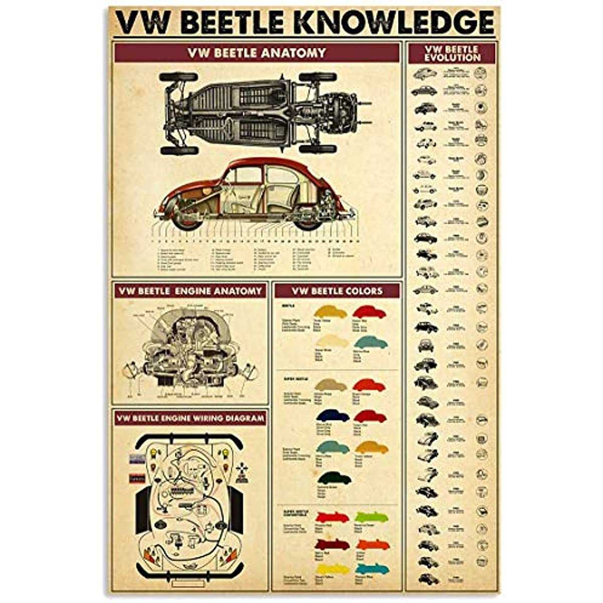 vw bug wiring diagram