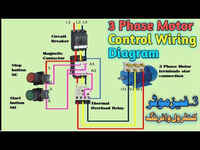 motor wiring diagram 3 phase