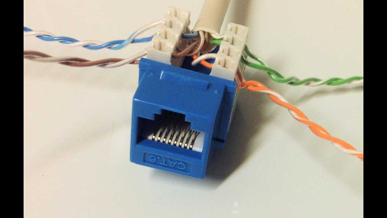 cat6 jack wiring diagram