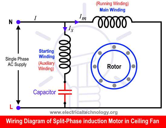 wiring diagram fan motor