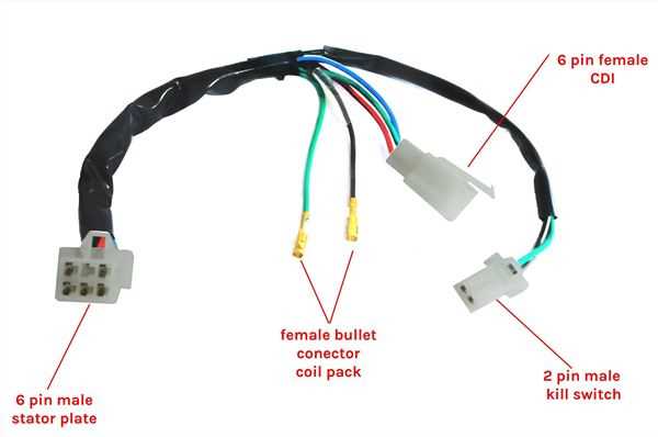 wiring diagram for pit bike