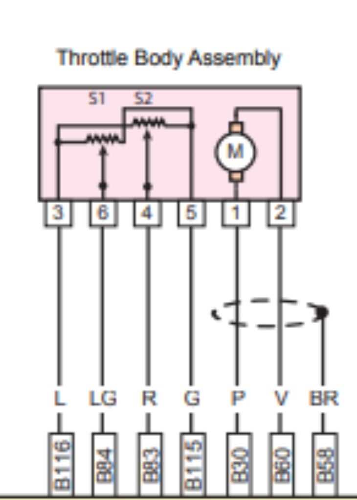 wiring diagram throttle body